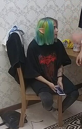 Zelda1