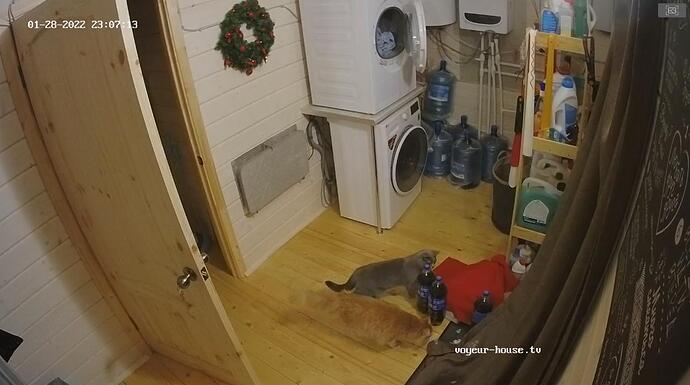 ice_screenshot_20220128-212635