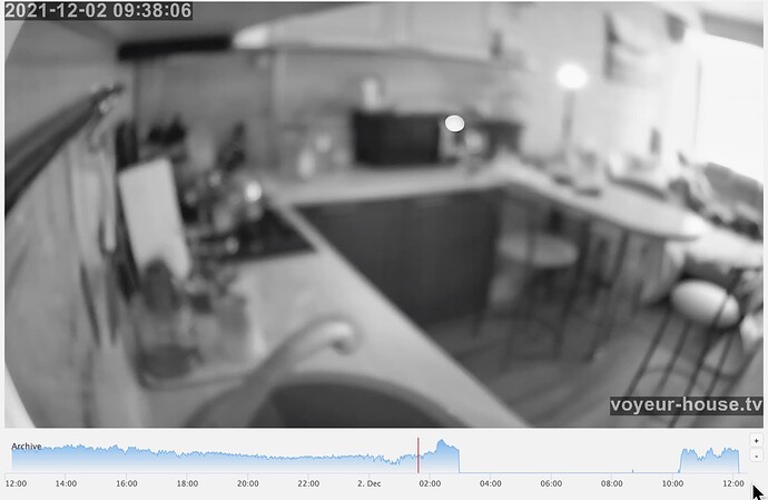 Screen Shot 2021-12-02 at 12.17.18 PM