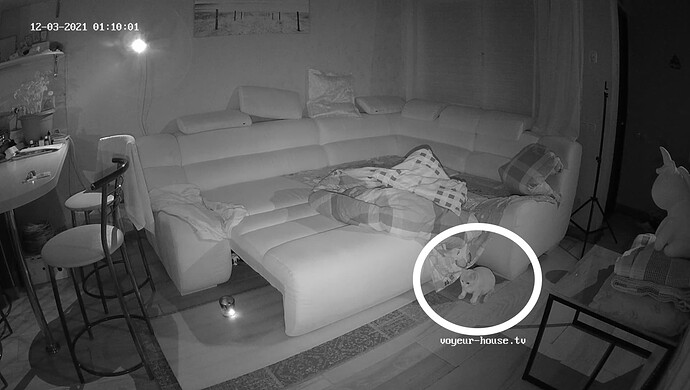 CAT realm91-cam13-1638483533