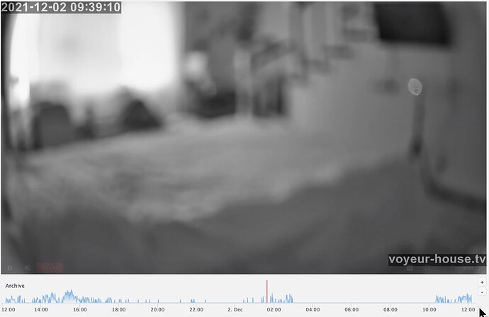 Screen Shot 2021-12-02 at 12.18.33 PM