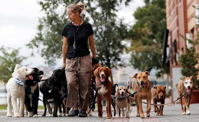 Buenos-Aires-Dog-Walkers