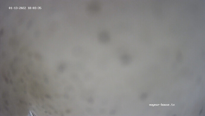 realm25-cam110-1642091888