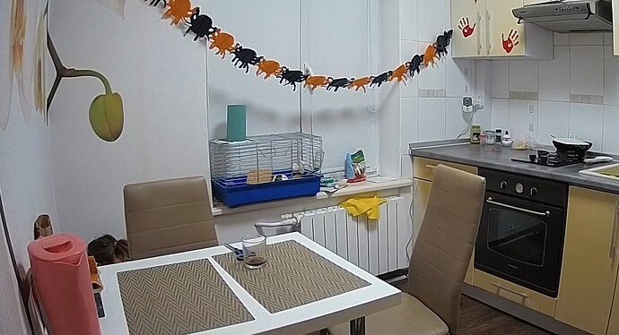 image_2021-11-13_214354