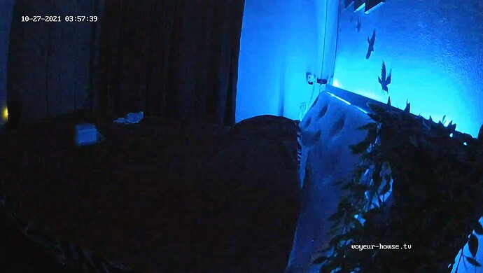 realm88-cam114-1635281892