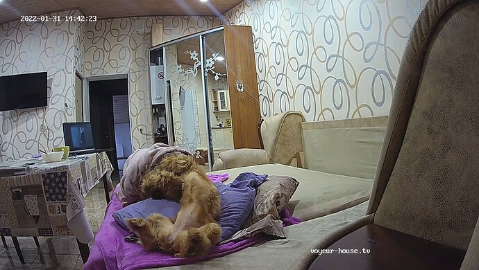 realm12-cam14-1643648536