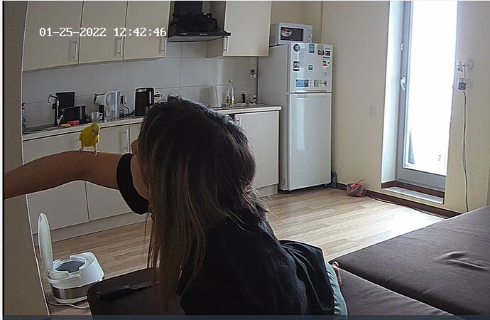 bandicam 2022-01-25 13-43-18-149