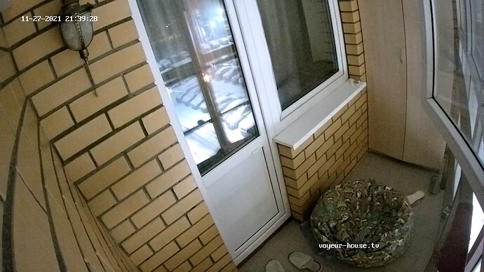 realm45-cam111-1638038403