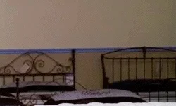 Here I Am Reaction GIF